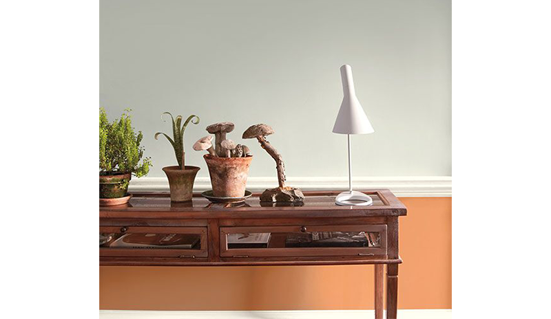 A room with white-painted upper walls and wainscoting in orange.