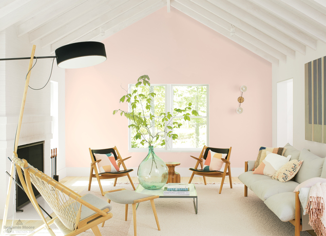 A casual living room with a light pink-painted accent wall