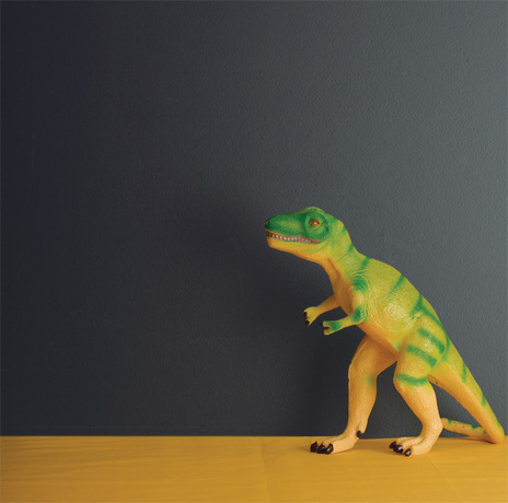 A deeply hued wall frames a toy dinosaur. A deeply hued wall frames a toy dinosaur.