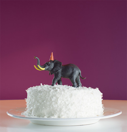 A plum-colored wall frames a festive coconut cake. A plum-colored wall frames a festive coconut cake.