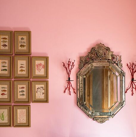 Una pared pintada con Delicate Rose que presenta una colección de pinturas de flores y peces Una pared pintada con Delicate Rose que presenta una colección de pinturas de flores y peces