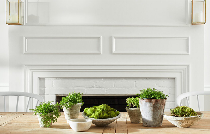 Comedor con paredes blancas, mesa de madera grande, plantas y sillas. 